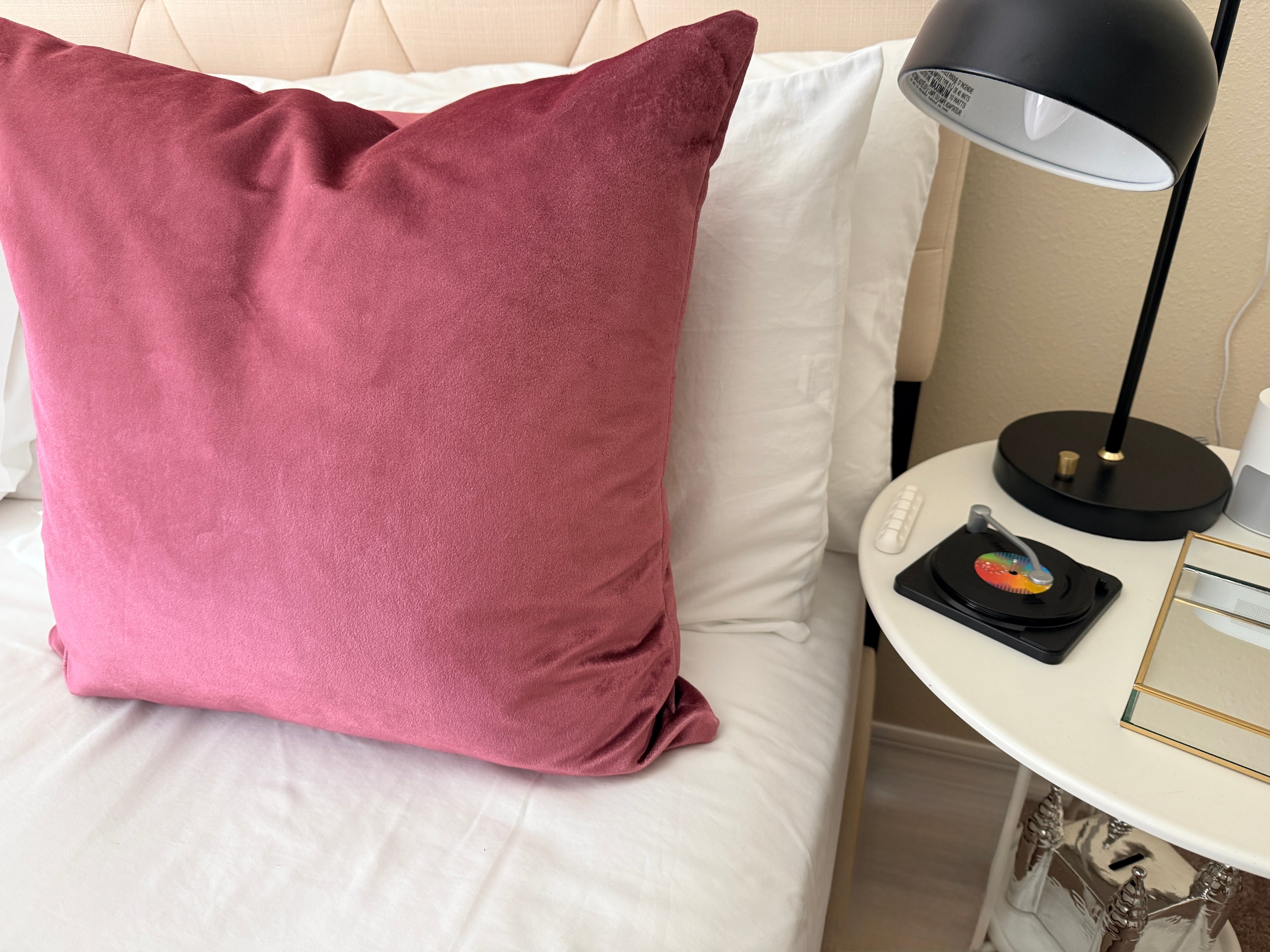 Velvet 20x20" Throw Pillow – Blush Luxury Accent Cushion